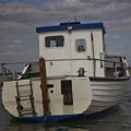 Thumbnail for picture 3
