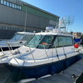 Extra picture for advert 145403