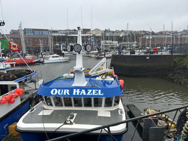 Large picture for advert 133405