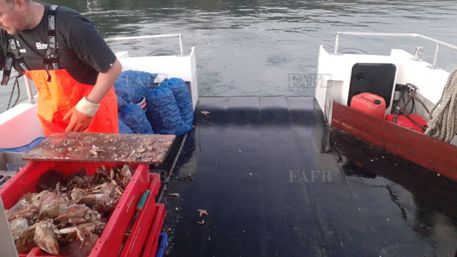 Large picture for advert 141405