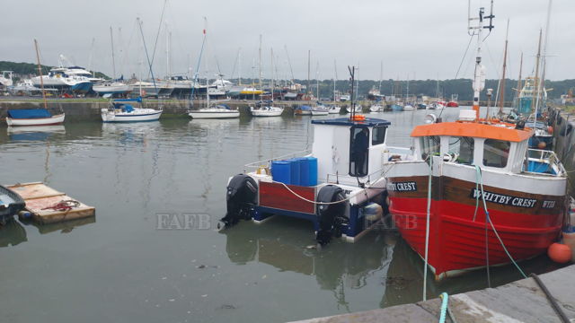 Large picture for advert 141405