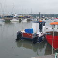 Thumbnail for picture 5