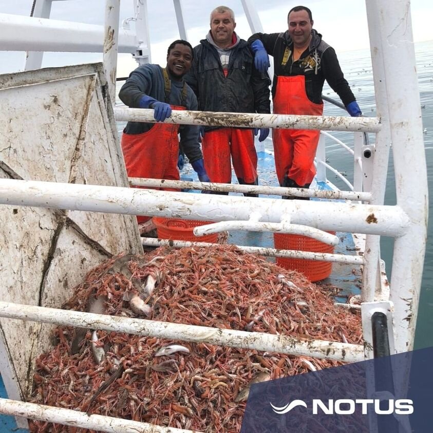 Double prawn catch rate with Notus Echo.