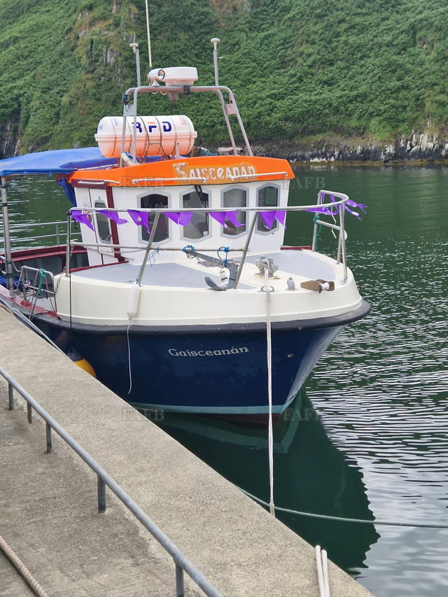 Large picture for advert 144406