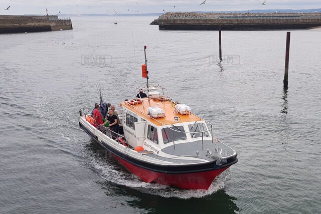 Pro charter p4 Wide - picture 1