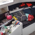 Thumbnail for picture 6
