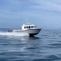 Extra picture for advert 147407