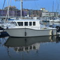 Extra picture for advert 147407