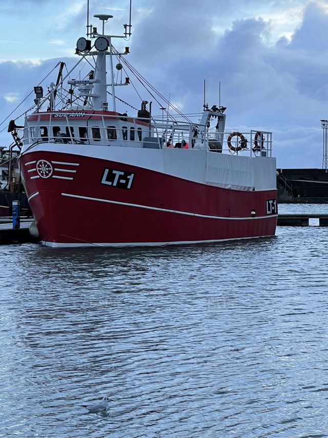 Large picture for advert 139409