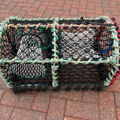 Extra picture for advert 148409
