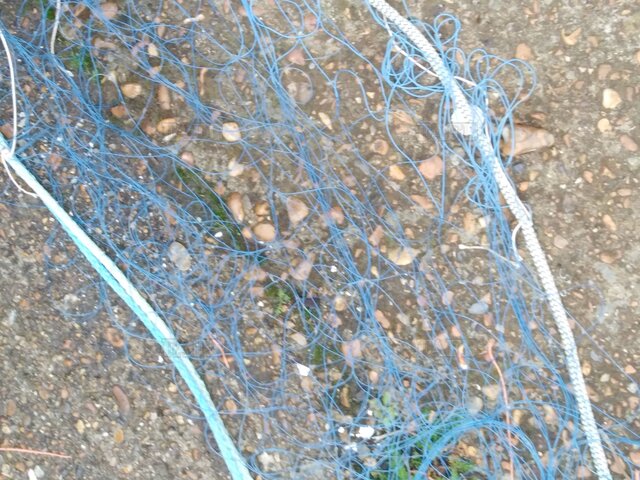 Gill nets - picture 1