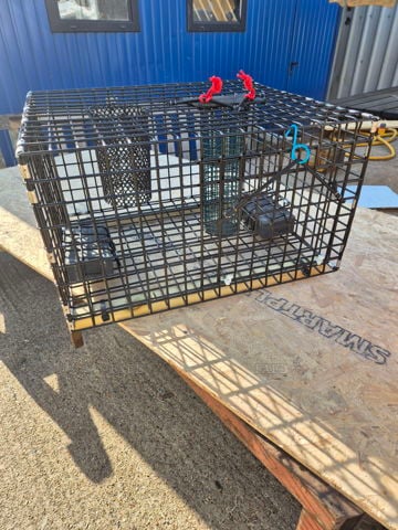 24" wire mesh octopus traps