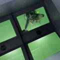 Thumbnail for picture 5
