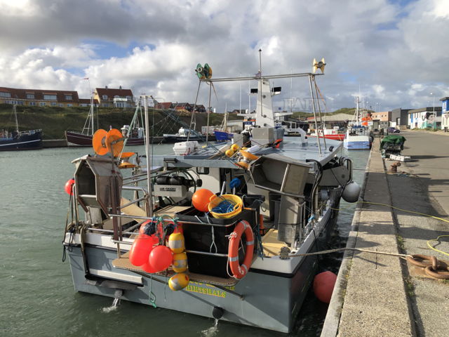 Large picture for advert 144415