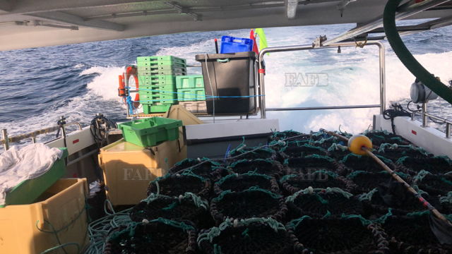 Large picture for advert 144415