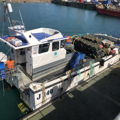 Extra picture for advert 147416