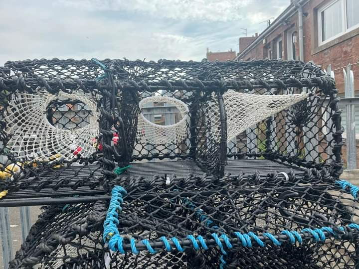 Fishing Accessories and Clothing