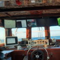 Thumbnail for picture 16