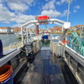 Extra picture for advert 148418