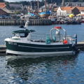 Extra picture for advert 148418