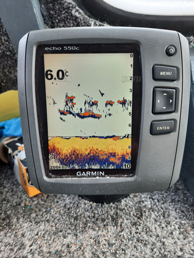 Large picture for advert 144419