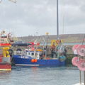 Extra picture for advert 147042