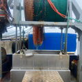 Extra picture for advert 147042