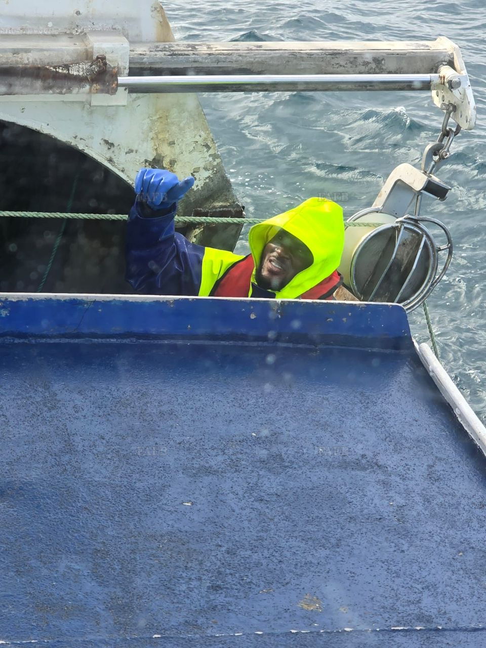 Crabs, prawns and scallops