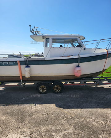 Osprey 24