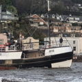 Extra picture for advert 139422