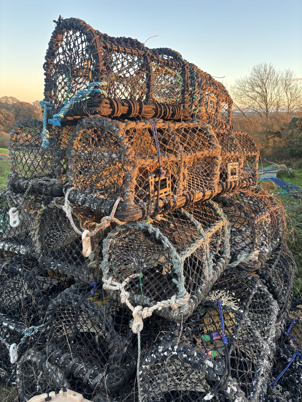 30 lobster pots, very little use