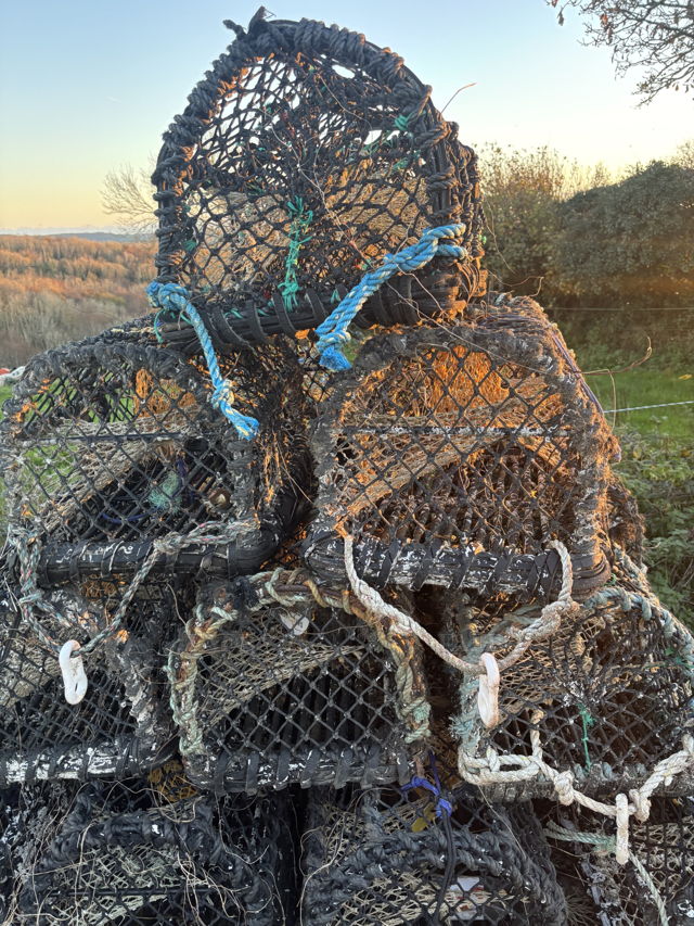 Large picture for advert 144424