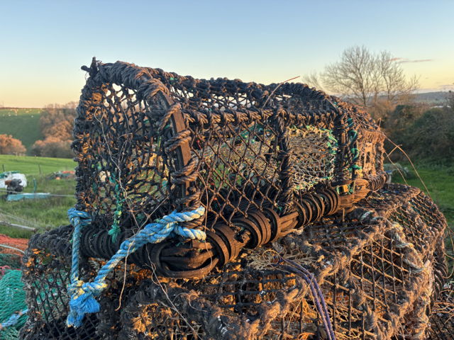 Large picture for advert 144424