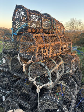30 lobster pots, very little use