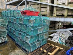 Prawn Creels - ID:130427