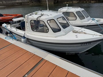 TERN
