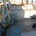 Thumbnail for picture 9