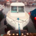 Extra picture for advert 148428