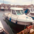Extra picture for advert 148428