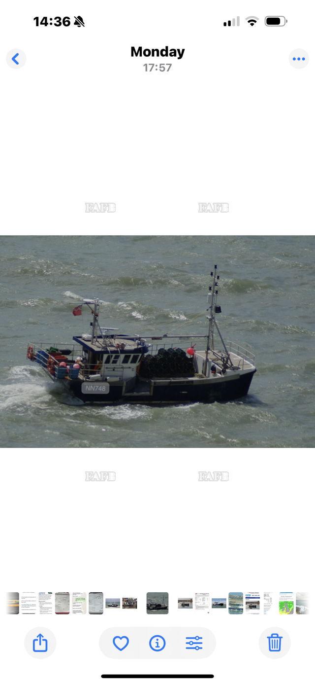 Large picture for advert 144429