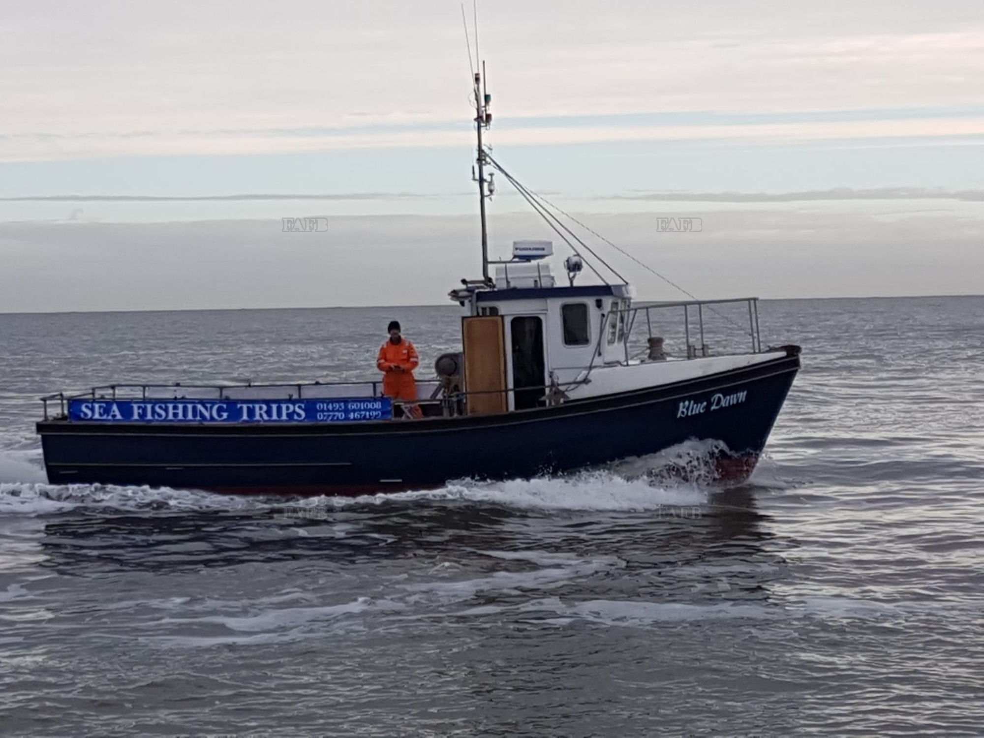 Large picture for advert 137043