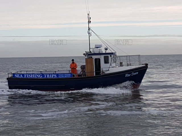 Large picture for advert 137043