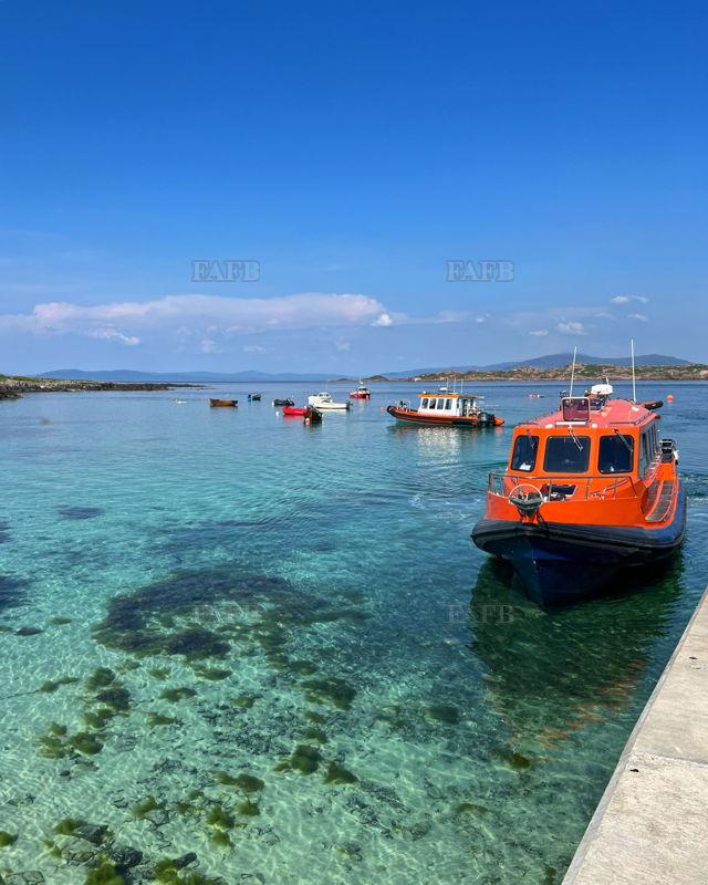 Large picture for advert 144043