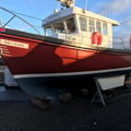 Extra picture for advert 146043