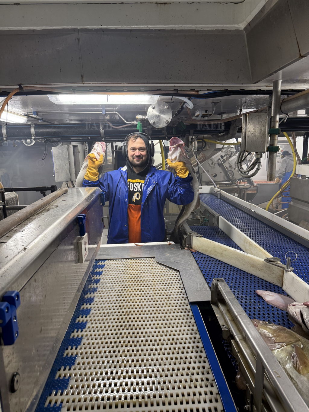 sailor/fish/shrimp/crab