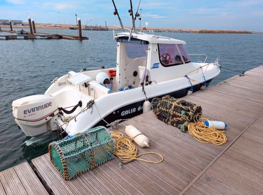 Galeon Galia 640 Pillot house