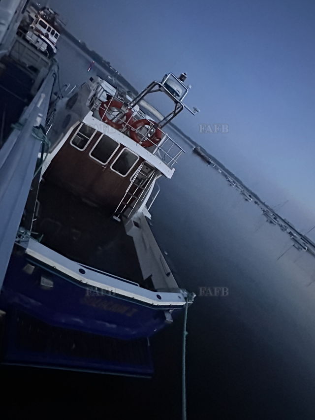 Large picture for advert 144432