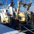 beam and twinrig trawler - picture 2