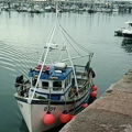 Thumbnail for picture 3