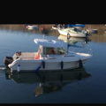 Thumbnail for picture 7